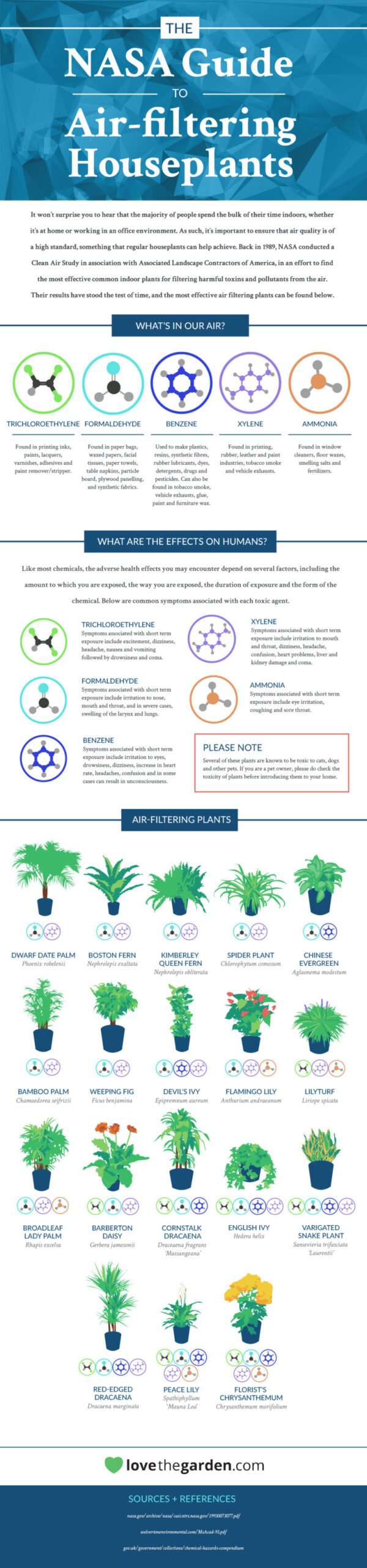 Best Air-Cleaning Plants According to NASA